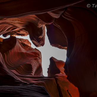 Antelope Canyon X and Cardiac Canyon Guided Hiking Tours