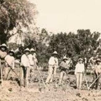 The image shows a sunlit farm field with a large red tractor under a blue sky, highlighting farm activities at San Xavier Cooperative Farm.