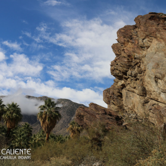 A lush canyon with tall palm trees, rocky hills, and a winding stream under a bright blue sky.