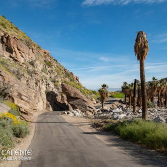 A desert landscape with rocky canyons, green palm trees, and a clear blue sky in Indian Canyons, Palm Springs.