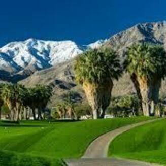 Lush golf course with palm trees, mountains in the background, and a clear blue sky at Indian Canyons Golf Resort, Palm Springs.