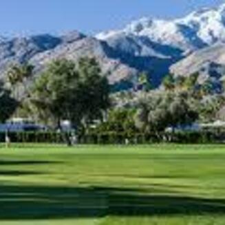 Lush golf course with palm trees, mountains in the background, under a clear blue sky at Indian Canyons Golf Resort, Palm Springs.