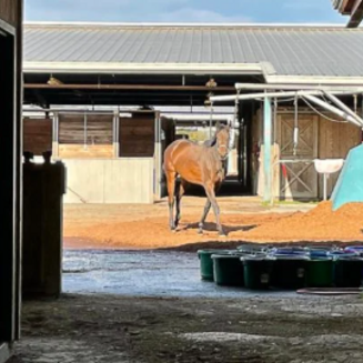 Aerial view of Emerald Downs racetrack with a green field, track, and grandstand, set against a mountain backdrop.