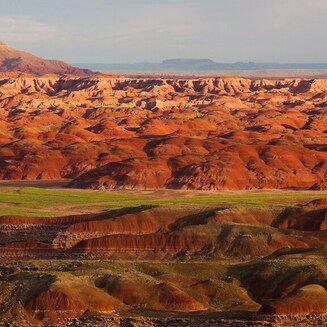 Petrified Forest National Park