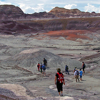 Petrified Forest National Park