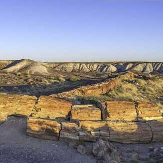 Petrified Forest National Park
