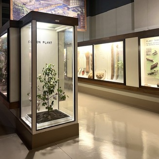 Field Museum