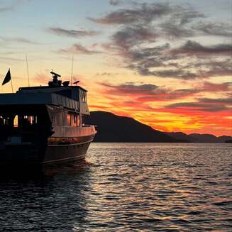 ABC Coastal Excursions of Alaska