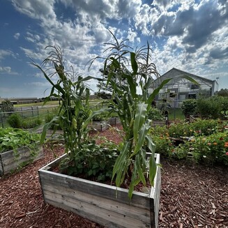Mvskoke Cultural Community Garden