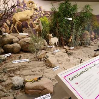 Anza-Borrego Desert State Park Visitor Center