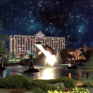 tulalip resort casino application