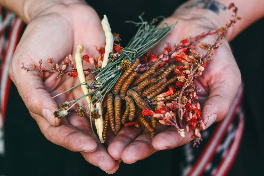 Arizona Indigenous Culinary Event search image